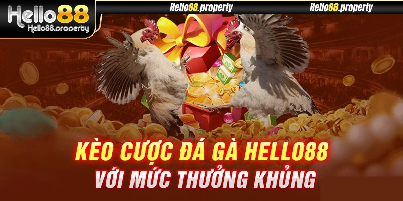 3 dạng kèo cược phổ biến được đông đảo khách hàng lựa chọn