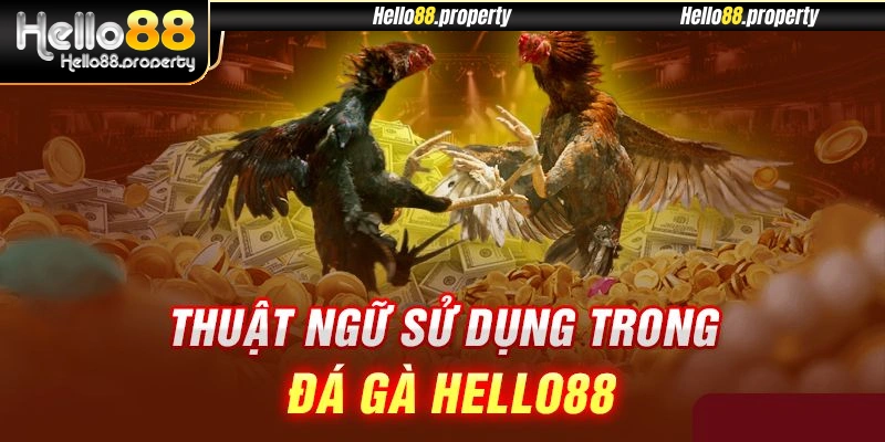 Thuật ngữ phổ biến thường xuyên được sử dụng đá gà Hello88