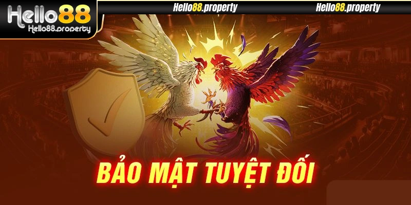 Điểm danh các ưu điểm nổi bật tuyệt vời có ở chuyên mục đá gà